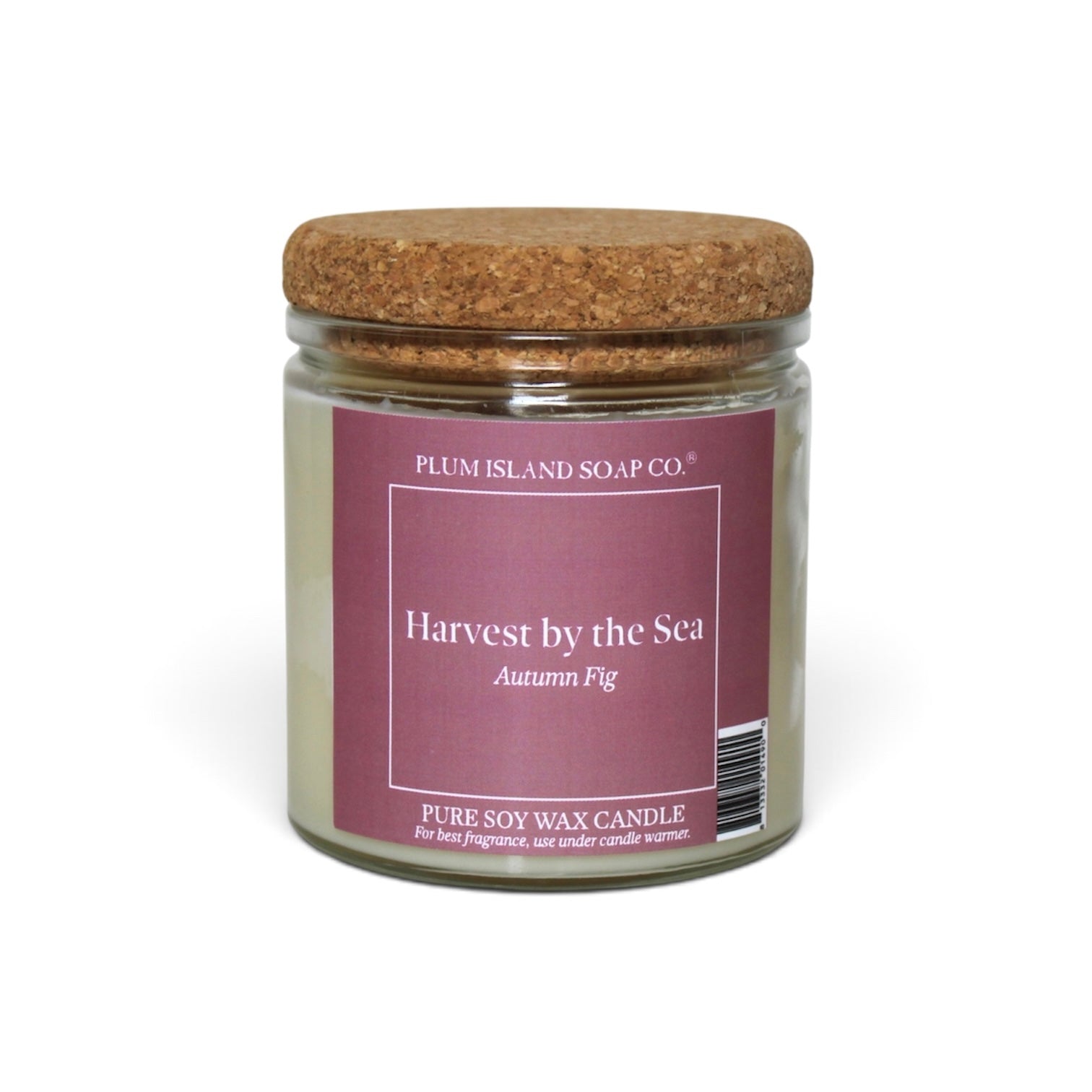 Candle - Aromatherapy + Soy Blend