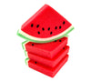Watermelon Foam Sponge