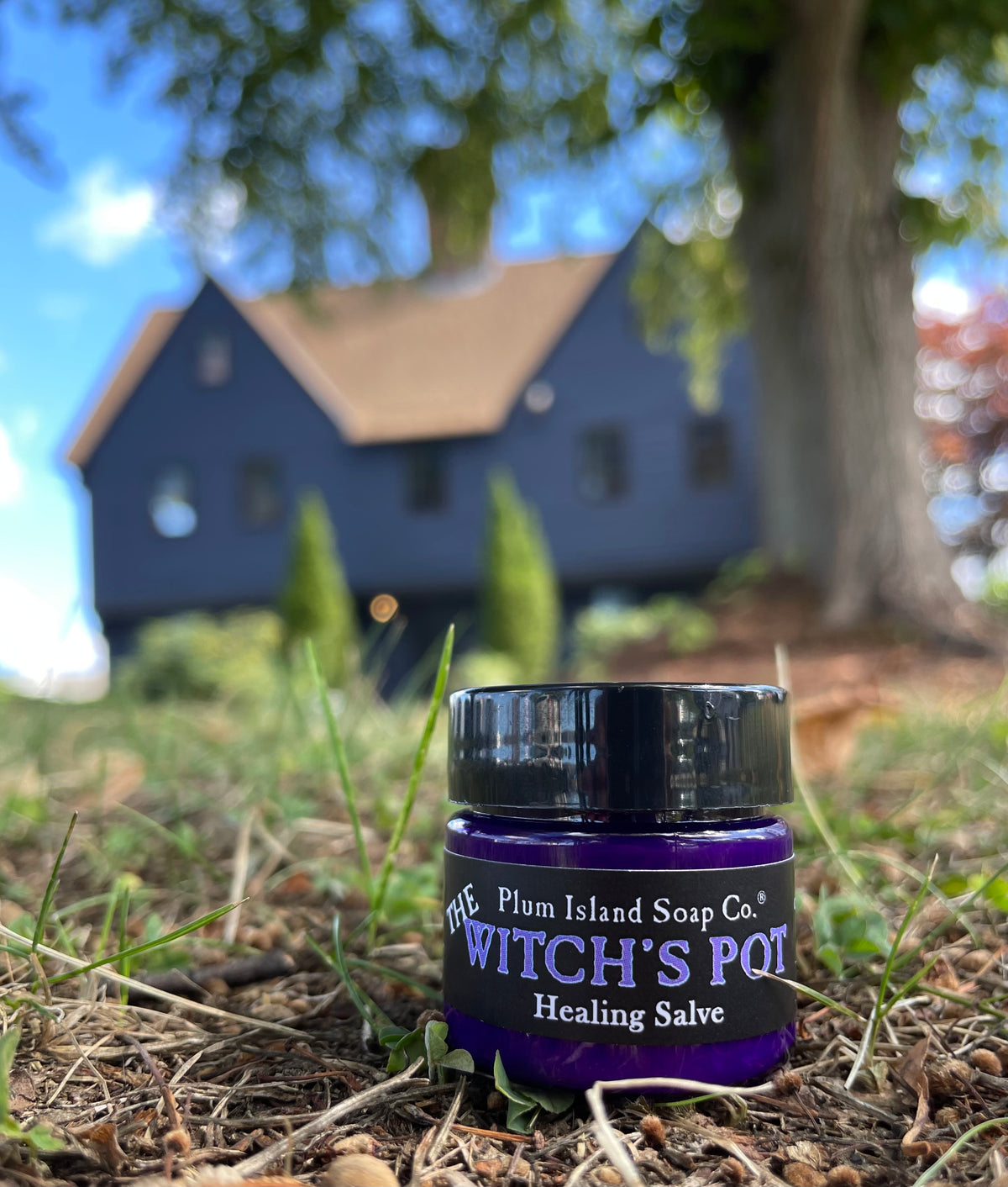 The Witch's Pot Herbal Salve